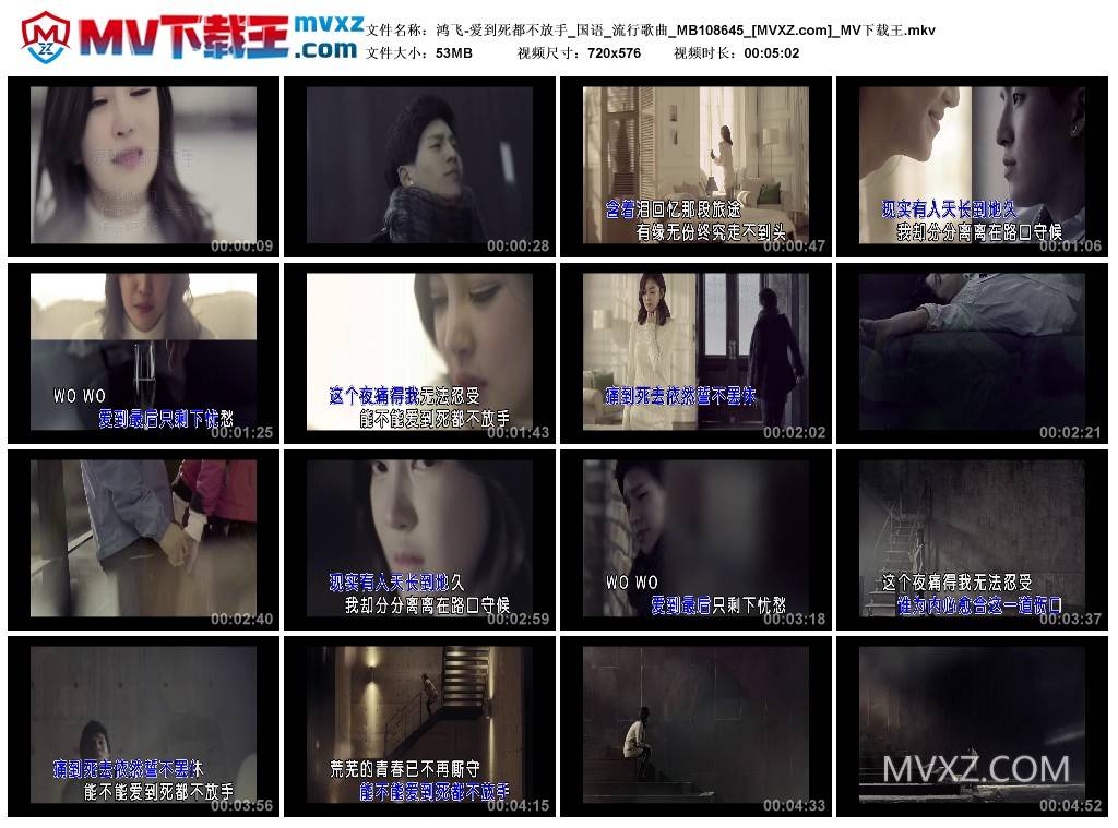 鸿飞-爱到死都不放手_国语_流行歌曲_MB108645